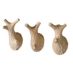 Image 1001 Patère Pateres design set de 3 branches bois naturel dans le site N°1 de patère et porte-manteaux de france